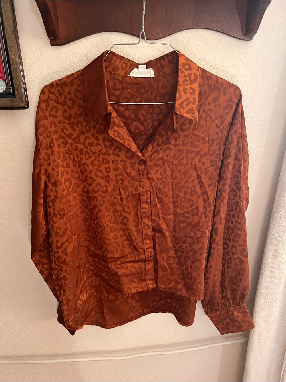 Leopard-Print Button-Front Blouse in Rust